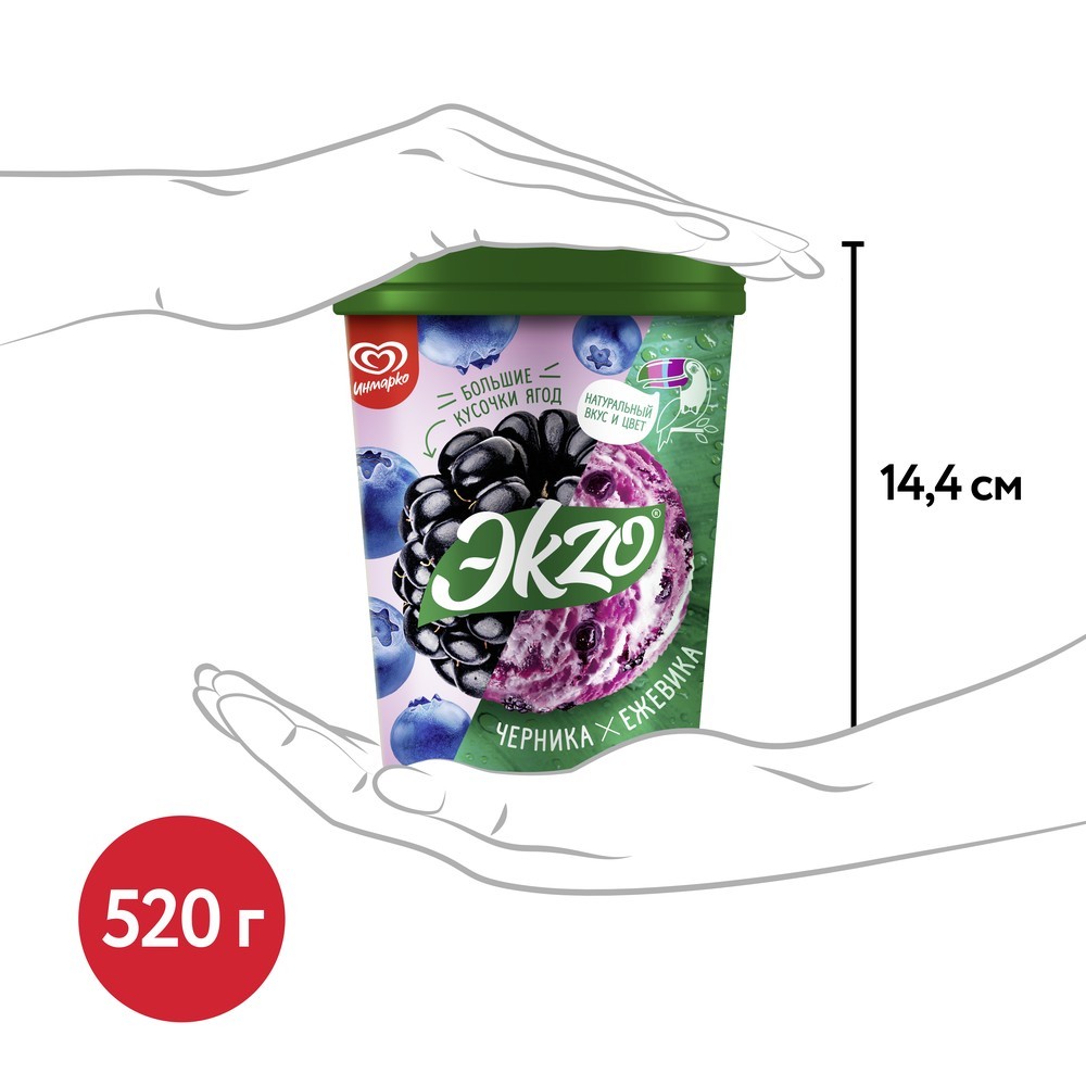 Ekzo мороженое молочное ведро Черника-Ежевика с ягодами черники 520 гр