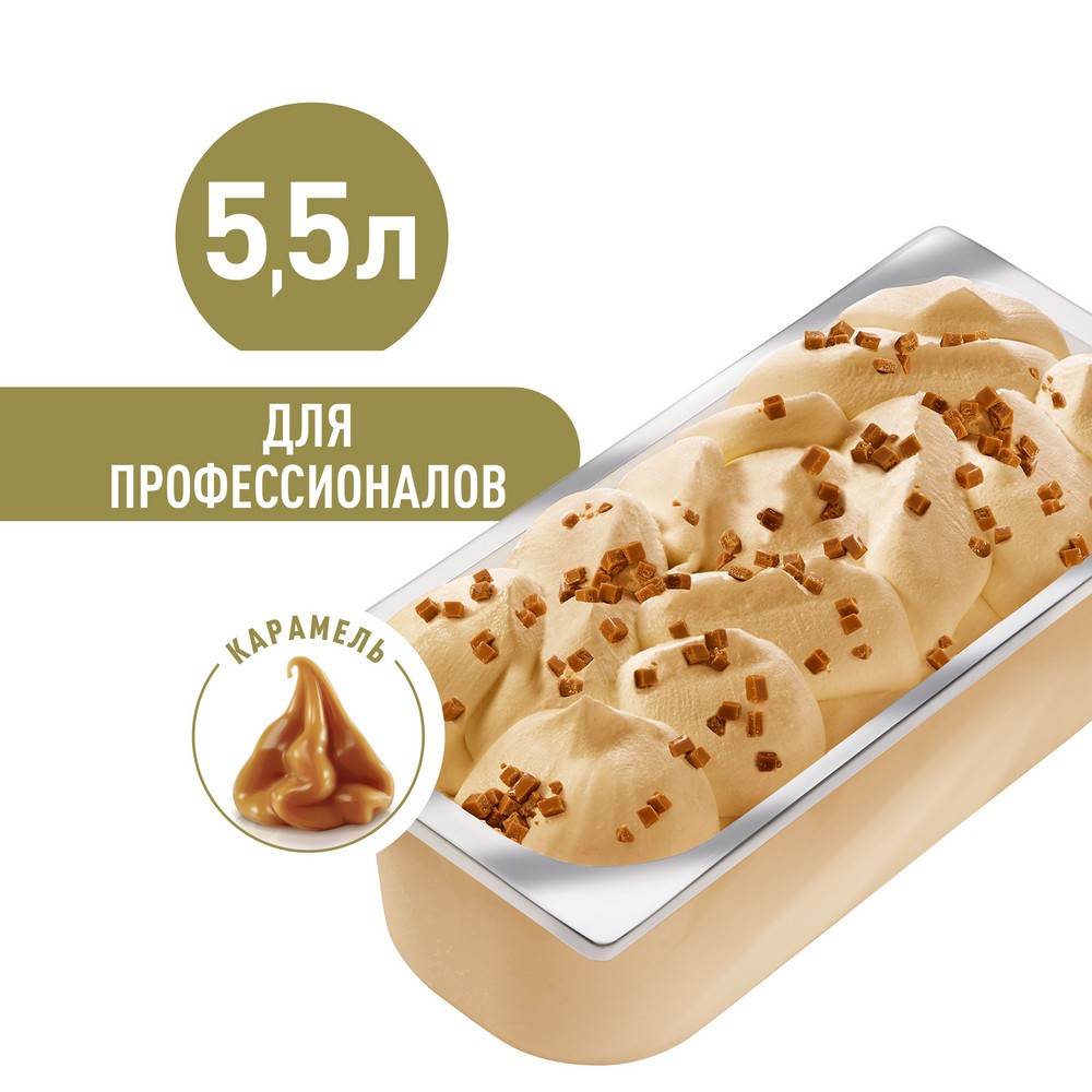 Carte D'Or замороженный десерт Карамель в большом контейнере Профессиональное 2750 гр